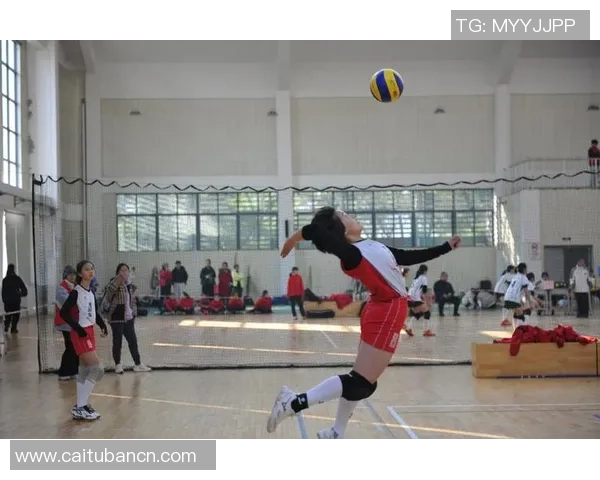 武汉排球队在最新排球比赛中表现卓越经验分享TOP10技巧解析